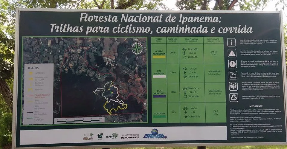 FLORESTA IPANEMA